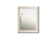 97-BENTON FRAMED MIRROR